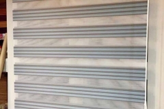 zebra-11