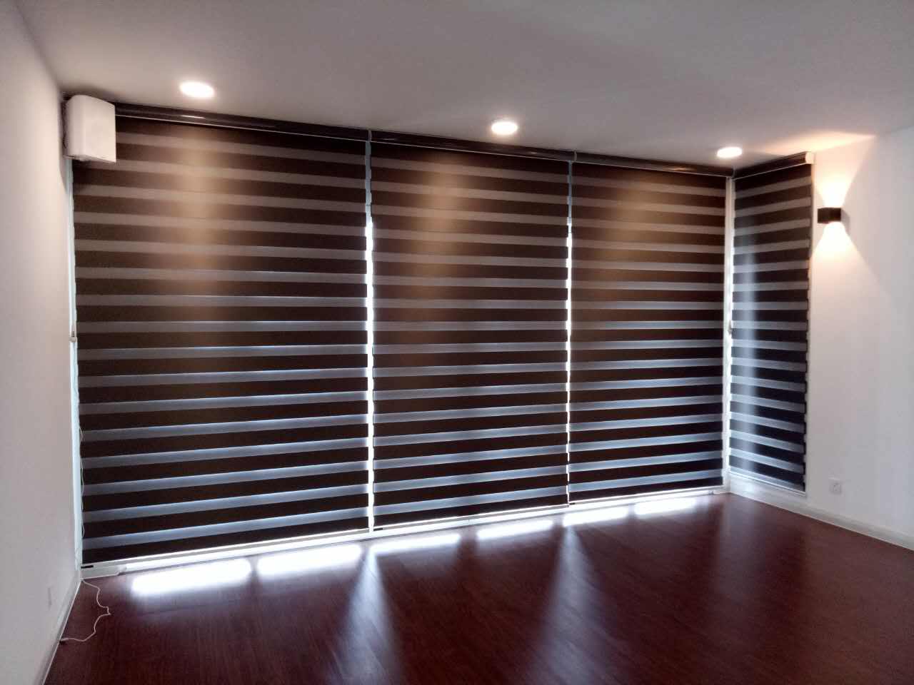 Zebra Blinds